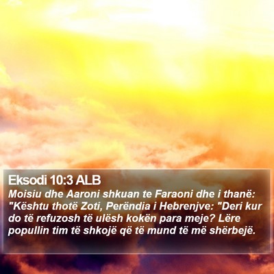 Eksodi 10:3 ALB Bible Verse Image
