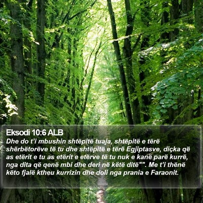 Eksodi 10:6 ALB Bible Verse Image