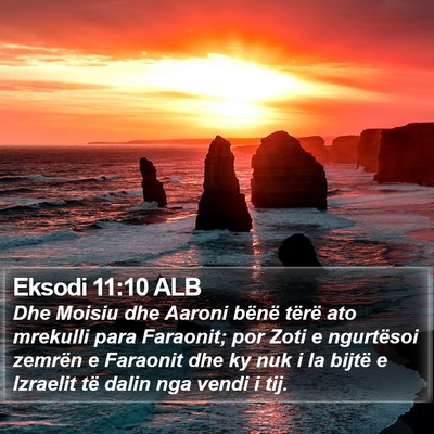 Eksodi 11:10 ALB Bible Verse Image