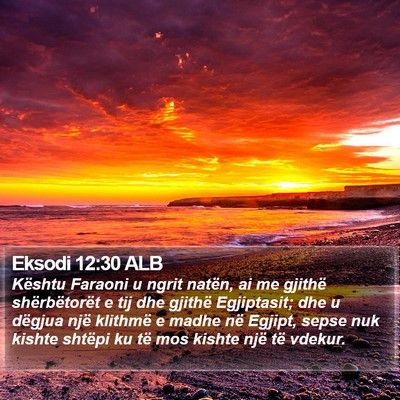 Eksodi 12:30 ALB Bible Verse Image