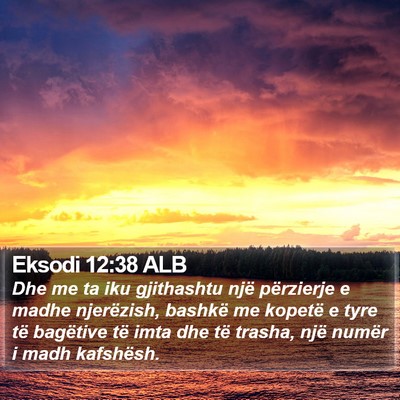 Eksodi 12:38 ALB Bible Verse Image