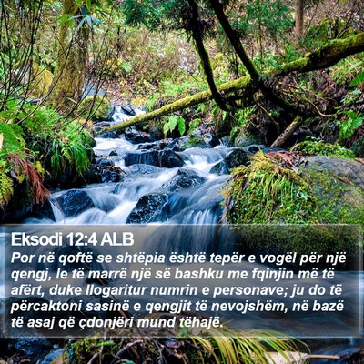 Eksodi 12:4 ALB Bible Verse Image