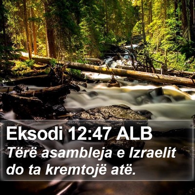 Eksodi 12:47 ALB Bible Verse Image