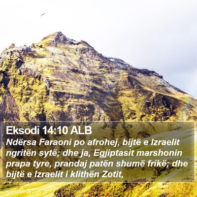 Eksodi 14:10 ALB Bible Verse Image