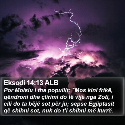 Eksodi 14:13 ALB Bible Verse Image