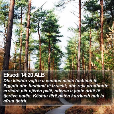 Eksodi 14:20 ALB Bible Verse Image