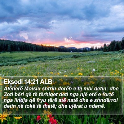 Eksodi 14:21 ALB Bible Verse Image