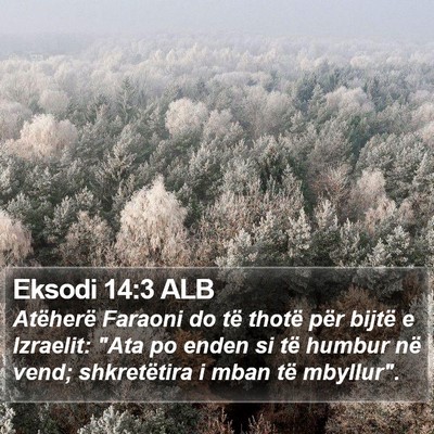 Eksodi 14:3 ALB Bible Verse Image