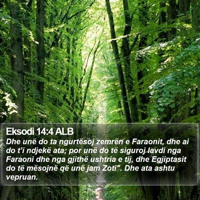 Eksodi 14:4 ALB Bible Verse Image