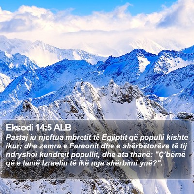 Eksodi 14:5 ALB Bible Verse Image