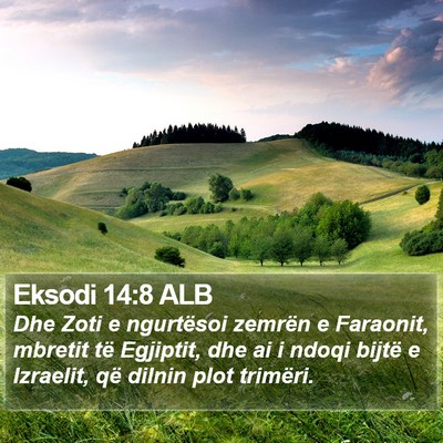 Eksodi 14:8 ALB Bible Verse Image