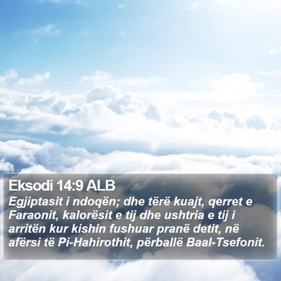 Eksodi 14:9 ALB Bible Verse Image