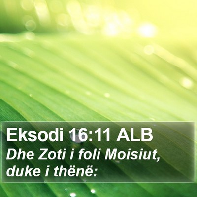 Eksodi 16:11 ALB Bible Verse Image