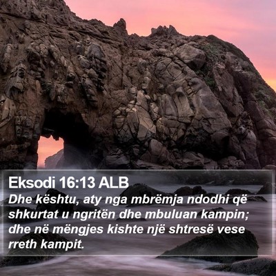 Eksodi 16:13 ALB Bible Verse Image