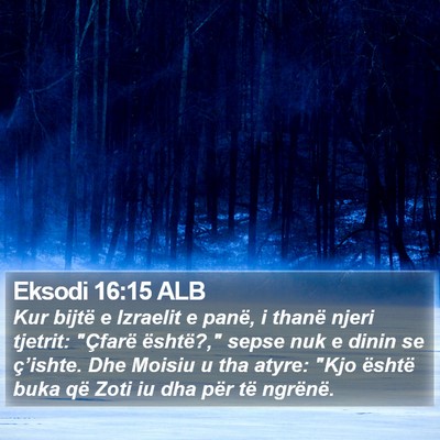 Eksodi 16:15 ALB Bible Verse Image