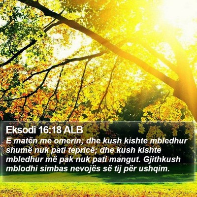 Eksodi 16:18 ALB Bible Verse Image