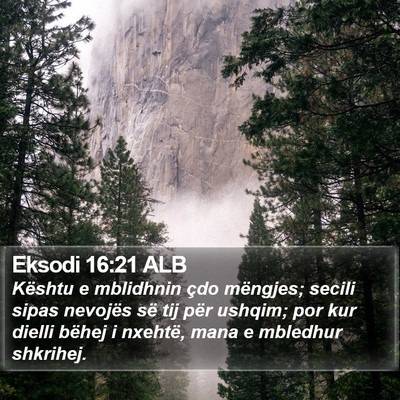 Eksodi 16:21 ALB Bible Verse Image