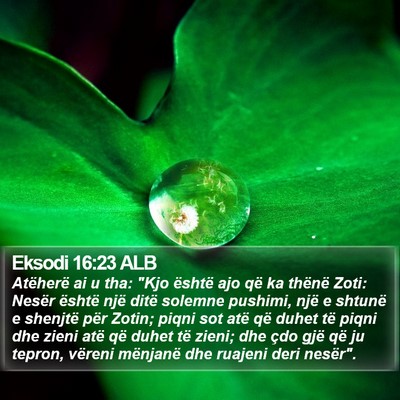 Eksodi 16:23 ALB Bible Verse Image