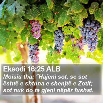 Eksodi 16:25 ALB Bible Verse Image