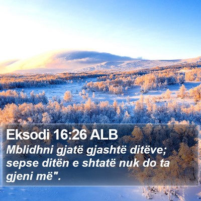 Eksodi 16:26 ALB Bible Verse Image