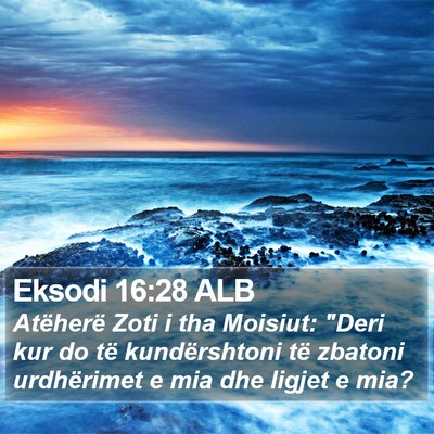 Eksodi 16:28 ALB Bible Verse Image