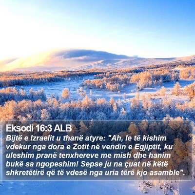 Eksodi 16:3 ALB Bible Verse Image