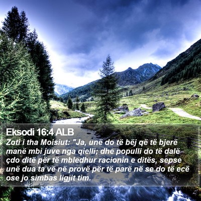 Eksodi 16:4 ALB Bible Verse Image