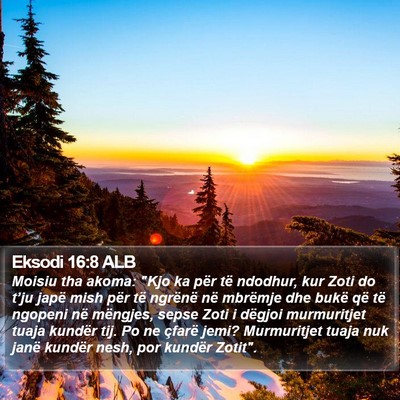 Eksodi 16:8 ALB Bible Verse Image