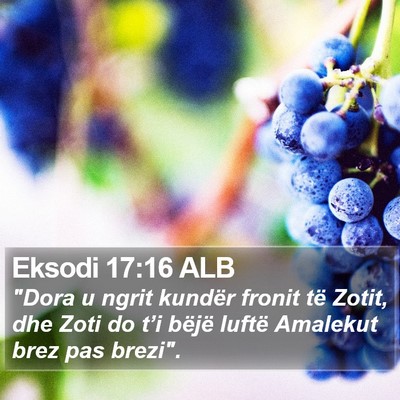 Eksodi 17:16 ALB Bible Verse Image