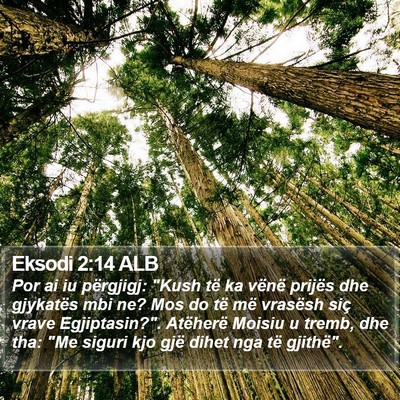 Eksodi 2:14 ALB Bible Verse Image