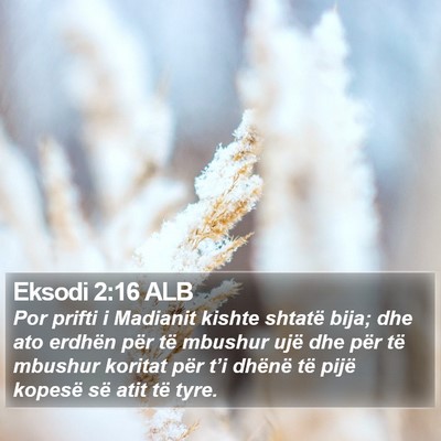 Eksodi 2:16 ALB Bible Verse Image