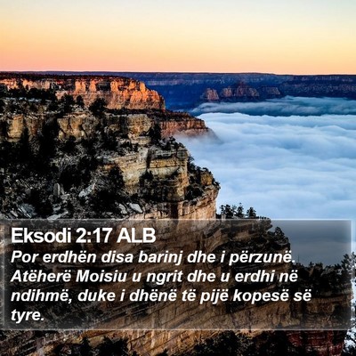 Eksodi 2:17 ALB Bible Verse Image