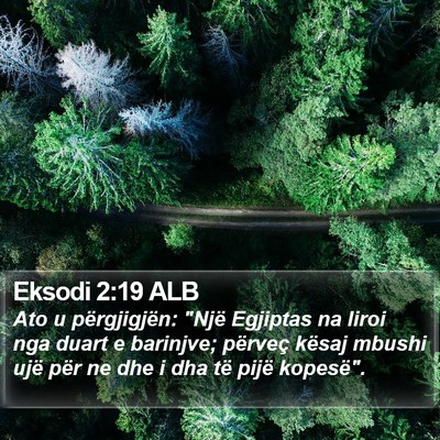 Eksodi 2:19 ALB Bible Verse Image