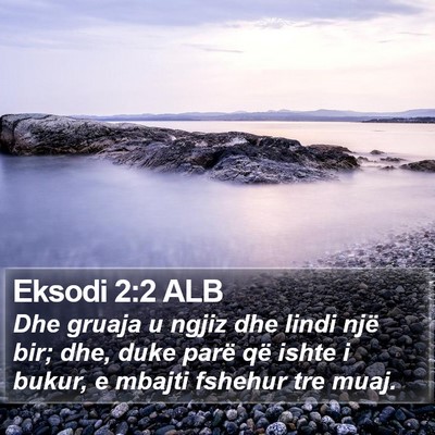 Eksodi 2:2 ALB Bible Verse Image