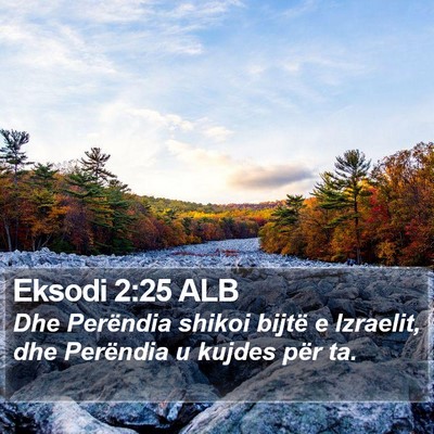 Eksodi 2:25 ALB Bible Verse Image
