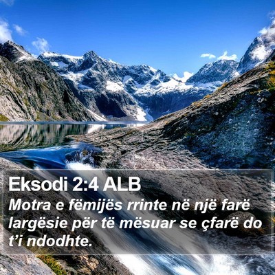 Eksodi 2:4 ALB Bible Verse Image