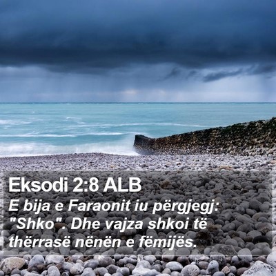 Eksodi 2:8 ALB Bible Verse Image