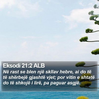 Eksodi 21:2 ALB Bible Verse Image
