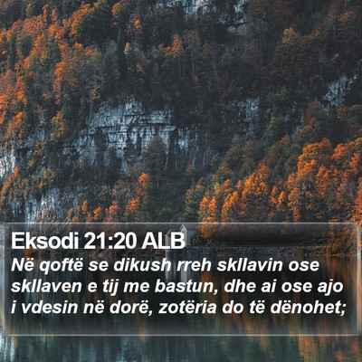 Eksodi 21:20 ALB Bible Verse Image