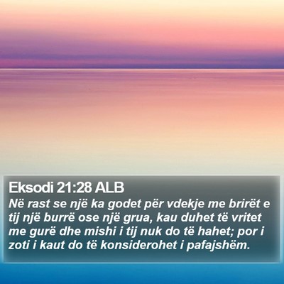 Eksodi 21:28 ALB Bible Verse Image