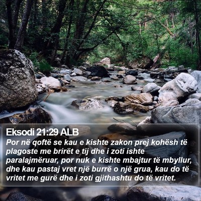 Eksodi 21:29 ALB Bible Verse Image