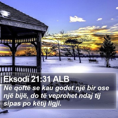 Eksodi 21:31 ALB Bible Verse Image