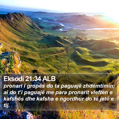 Eksodi 21:34 ALB Bible Verse Image