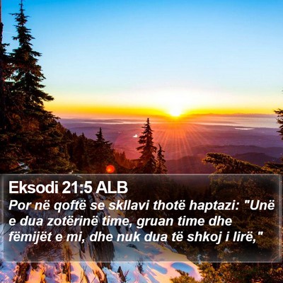 Eksodi 21:5 ALB Bible Verse Image