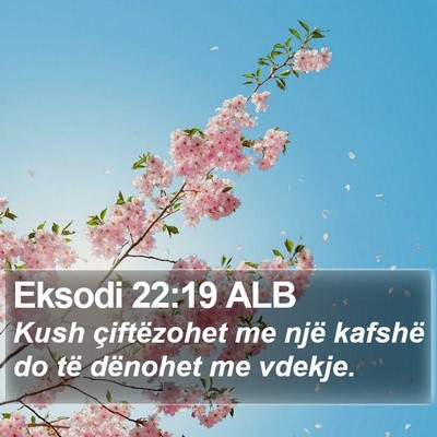 Eksodi 22:19 ALB Bible Verse Image