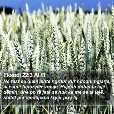 Eksodi 22:3 ALB Bible Verse Image