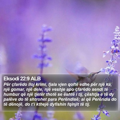 Eksodi 22:9 ALB Bible Verse Image