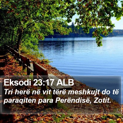 Eksodi 23:17 ALB Bible Verse Image