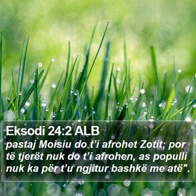 Eksodi 24:2 ALB Bible Verse Image