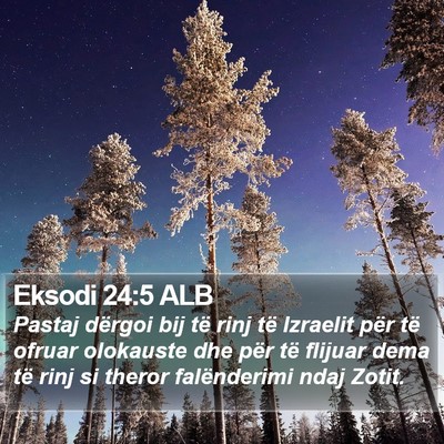 Eksodi 24:5 ALB Bible Verse Image